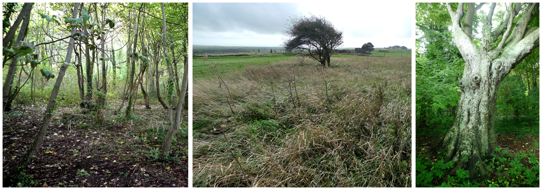 Saturday October 5th (2013) The Walk ... width=