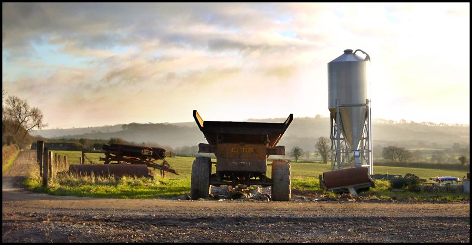 Sunday December 13th (2009) Evening Light width=