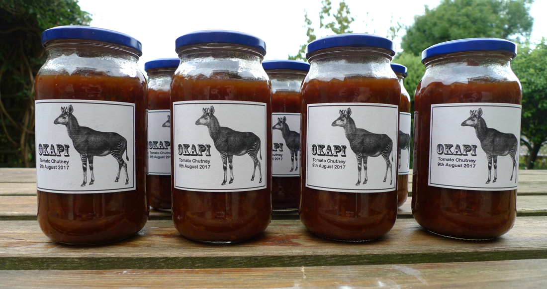Thursday August 10th (2017) Okapi Tomato Chutney width=