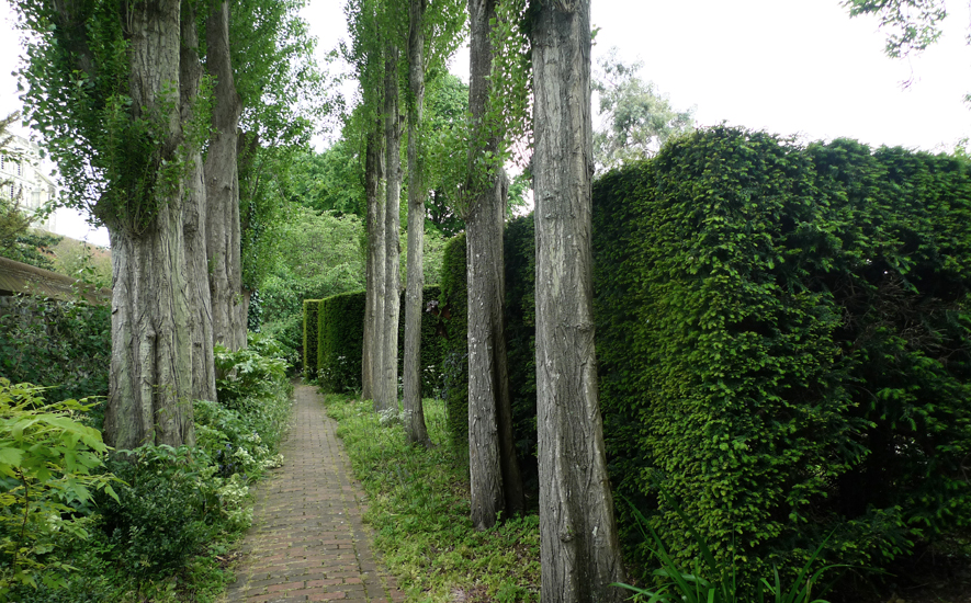 Monday May 19th (2014) The Secret Garden width=