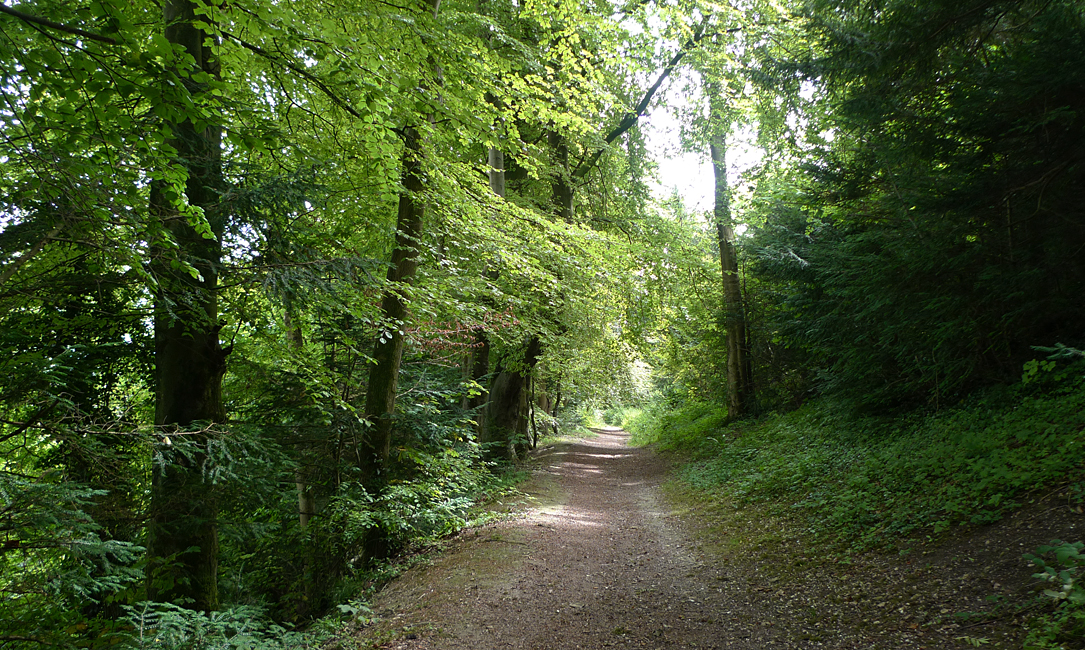 Monday August 7th (2017) Walking Home ... width=