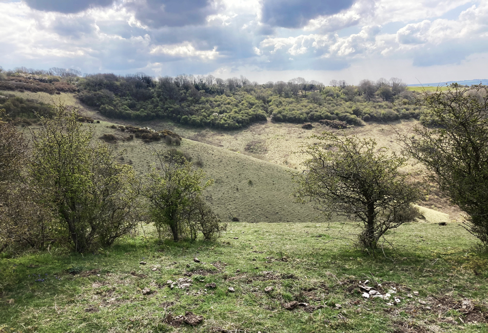 Saturday April 17th (2021) View across the Nature Reserve ... width=