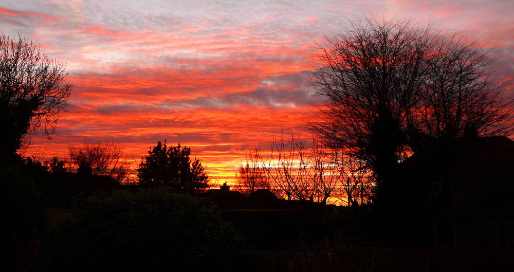 Monday January 20th (2020) Great sunrise this morning width=