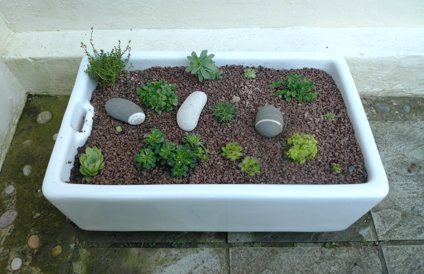 Wednesday May 28th (2014) Alpine sink width=