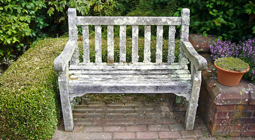Saturday July 29th (2006) Rosemoor Bench width=