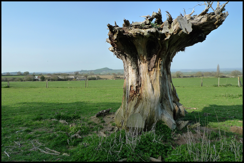 Saturday April 24th (2010) Upside down width=