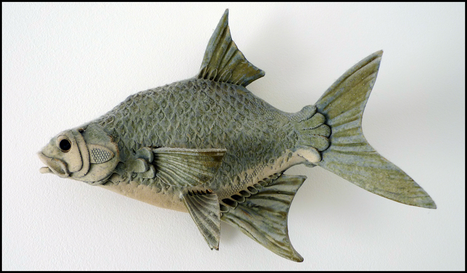 Tuesday December 11th (2012) Bream width=