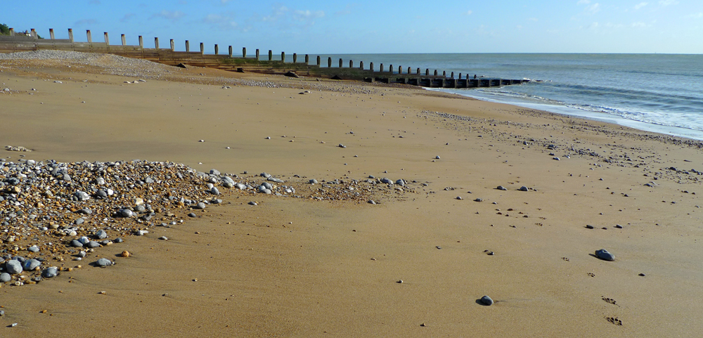 Tuesday February 4th (2020) Sandy Beach width=