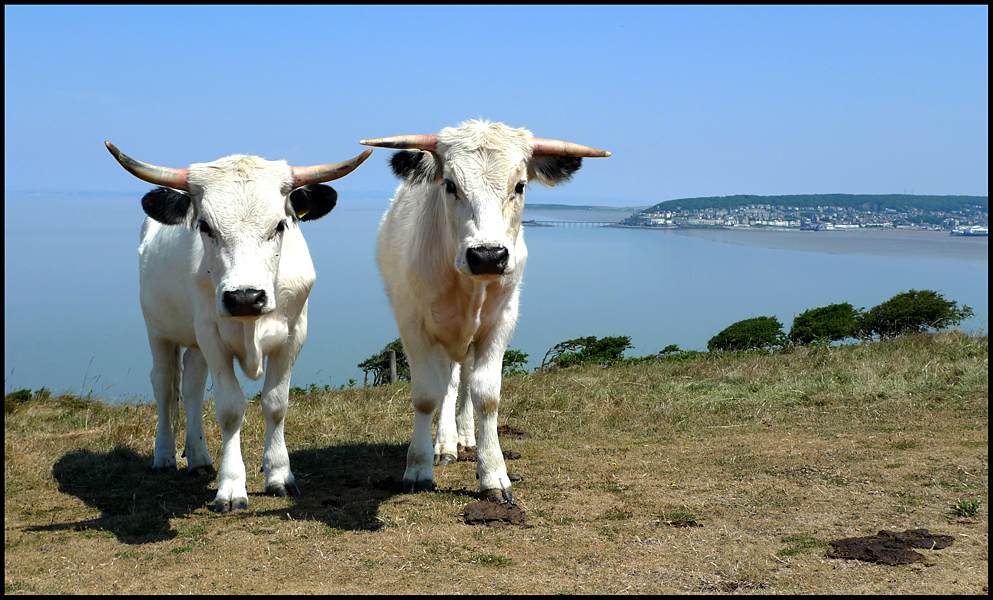 Saturday June 26th (2010) Curved and Straight width=