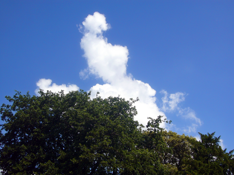 Saturday June 7th (2008) Blue Sky Thinking width=