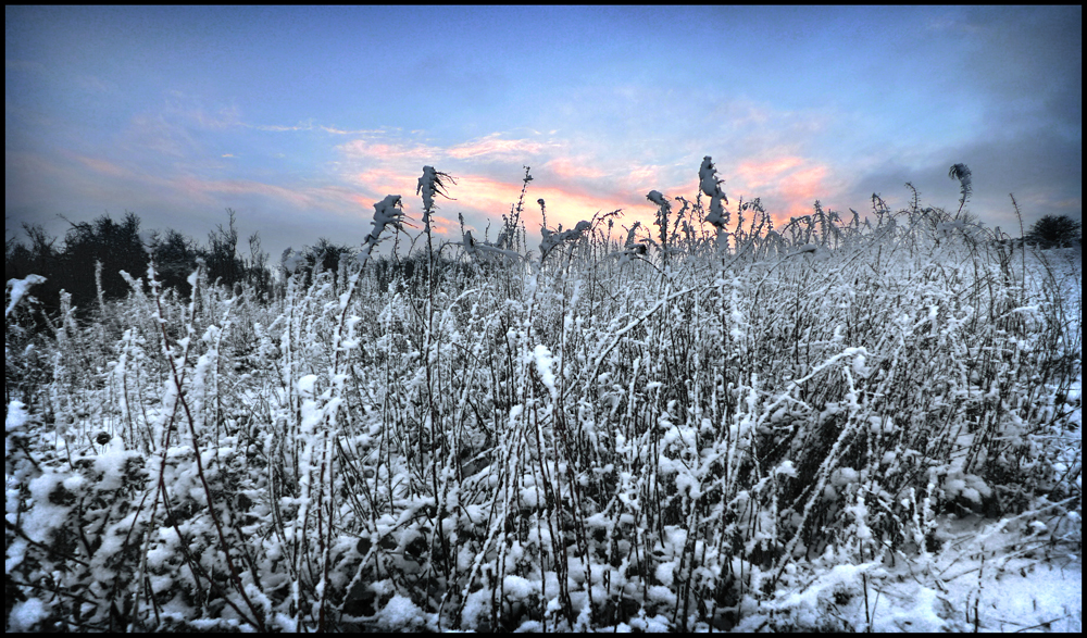 Monday December 20th (2010) Rain width=