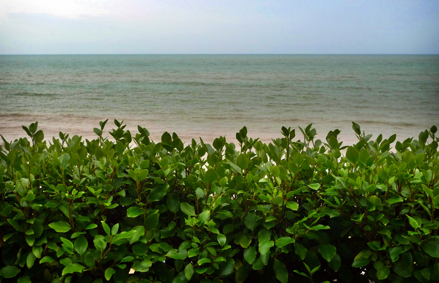 Tuesday October 14th (2014) The View ... width=