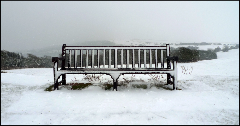 Friday January 25th (2013) Bench ... width=