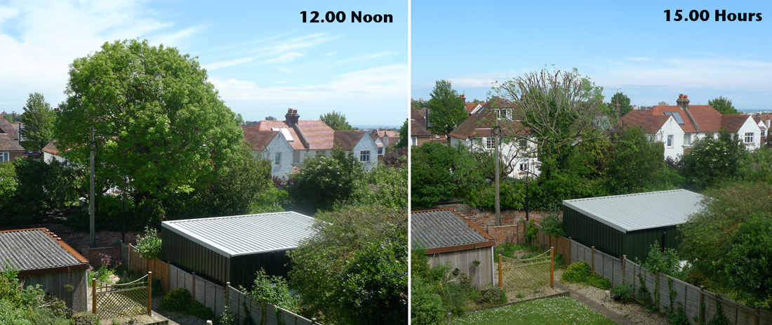 Friday May 23rd (2014) The tree Surgeons are here again width=