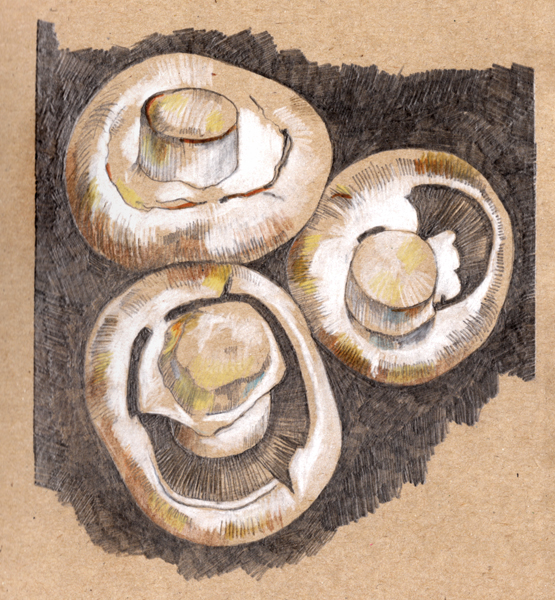 Thursday January 8th (2015) Three mushrooms width=