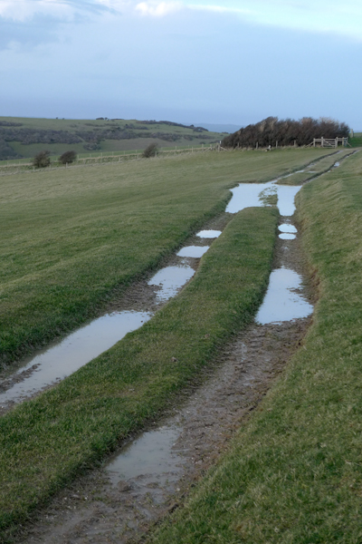 Sunday March 2nd (2014) Puddles width=