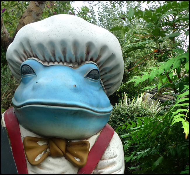 Sunday August 25th (2013) Mr.Toad ... width=