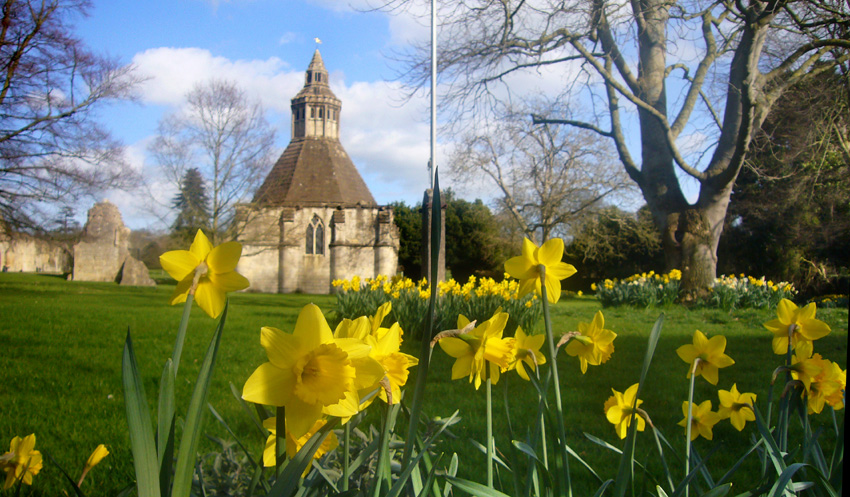 Saturday March 10th (2007) Spring is here width=