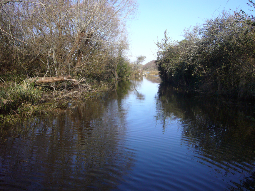 Friday November 8th (2019) Flooded. width=