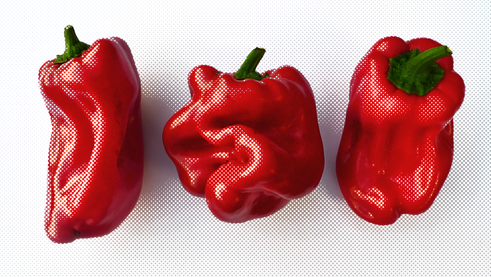 Monday August 31st (2015) Peppers from the greenhouse width=