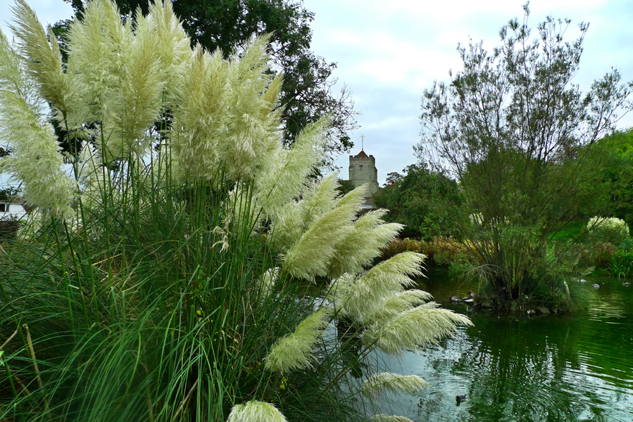 Friday October 23rd (2015) Motcombe Park, Eastbourne. width=