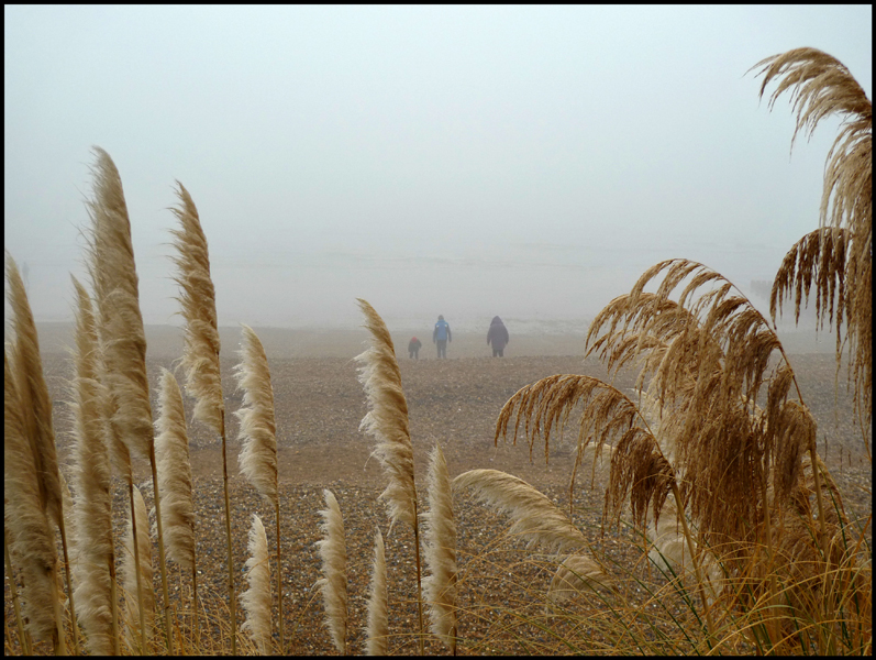 Tuesday December 28th (2010) Mist on Eastbourne Beach. width=