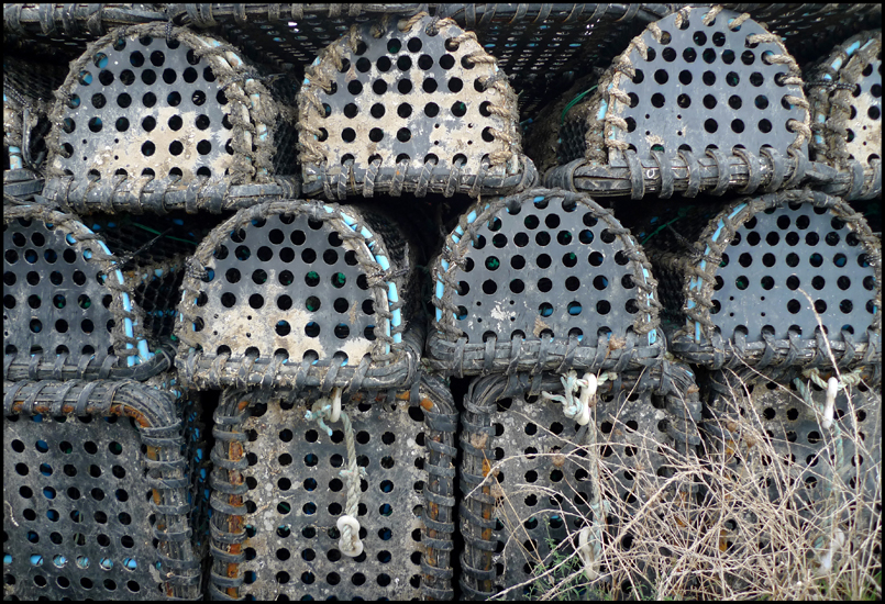 Thursday December 15th (2011) Something to do with fishing I guess. width=