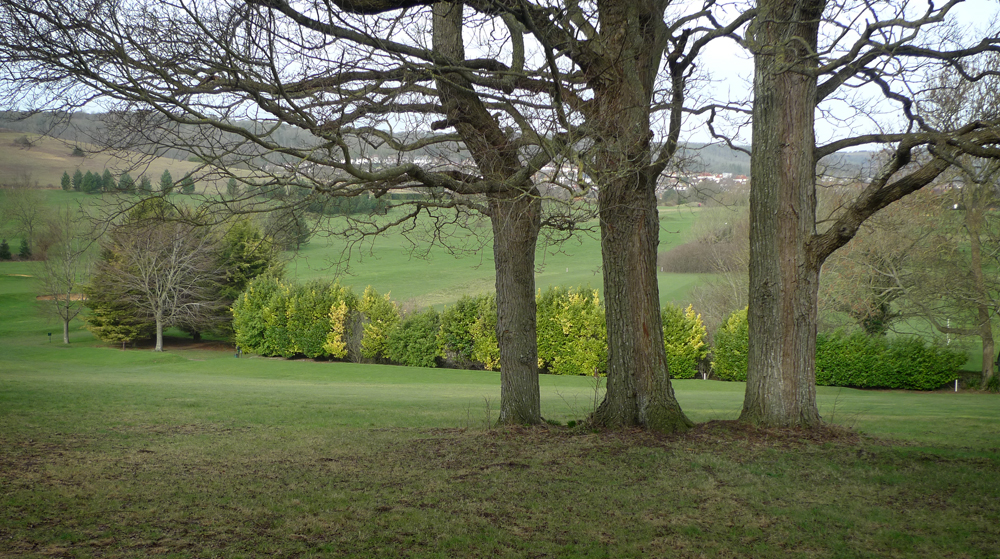 Saturday February 20th (2021) A walk around the golf course width=