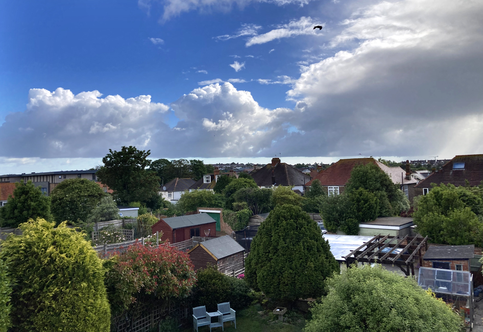 Monday June 8th (2026) A layer of cloud and a single rook or crow width=