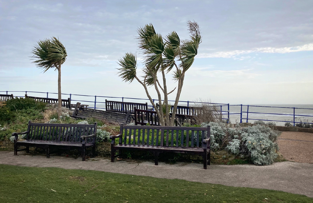 Sunday November 24th (2024) Storm Bert has been very windy .... width=