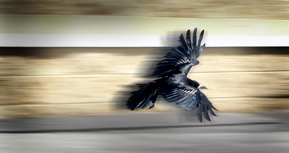 Monday November 10th (2014) In Flight width=