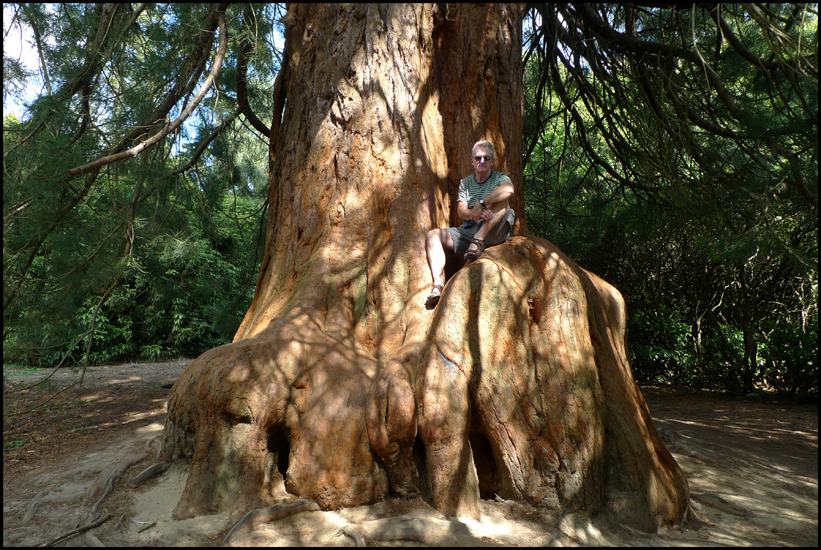 Monday July 11th (2011) Sheffield Park Garden width=