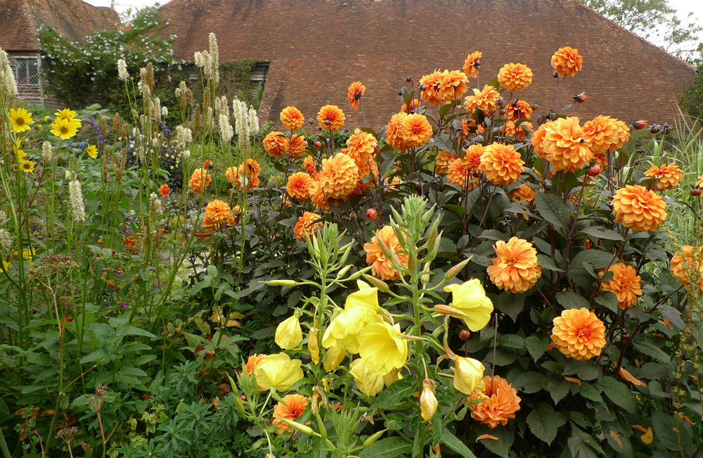 Tuesday September 22nd (2020) Borders in the Barn Garden ... width=