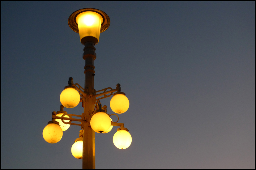 Sunday November 20th (2011) On the Promenade width=