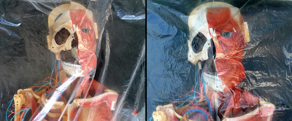 Monday March 23rd (2015) Two Heads width=