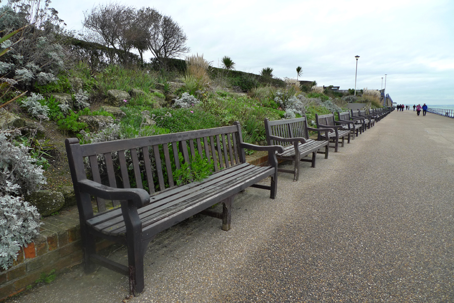 Tuesday November 24th (2015) Empty benches width=