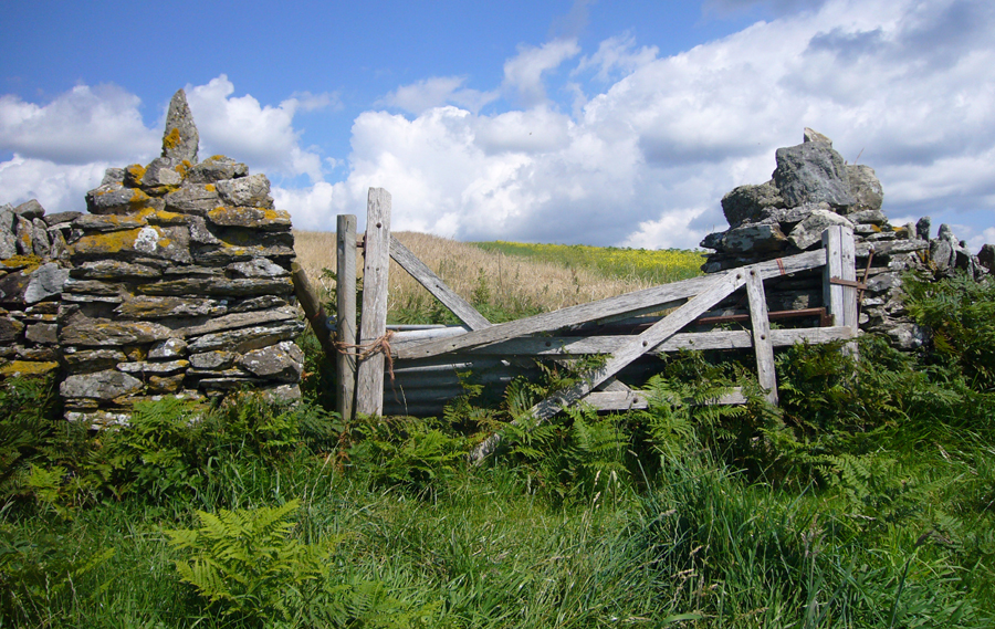 Monday July 23rd (2007) Gate width=