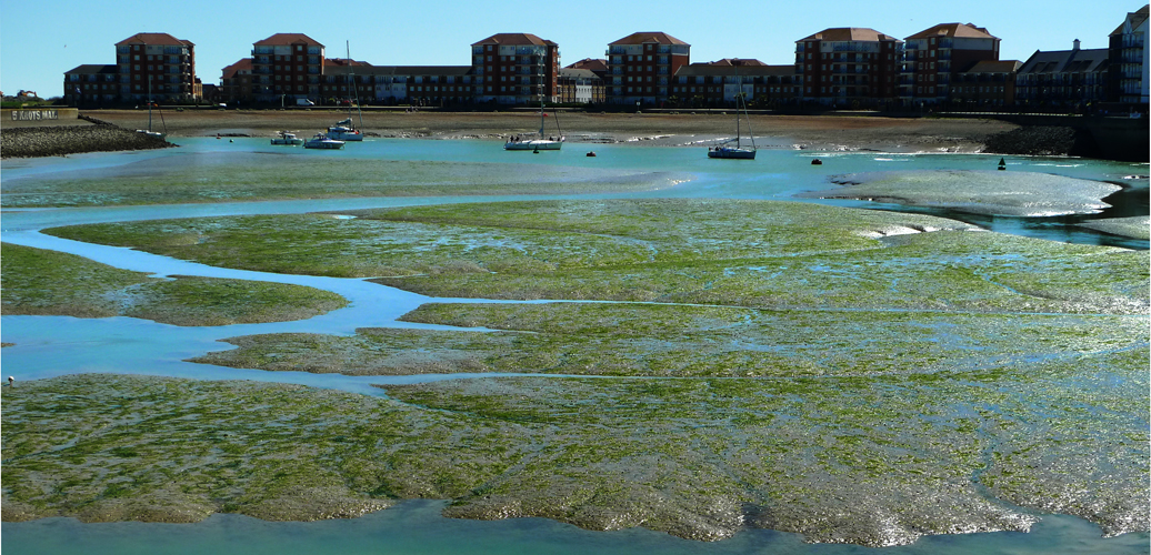 Wednesday May 24th (2017) Tide going out. width=