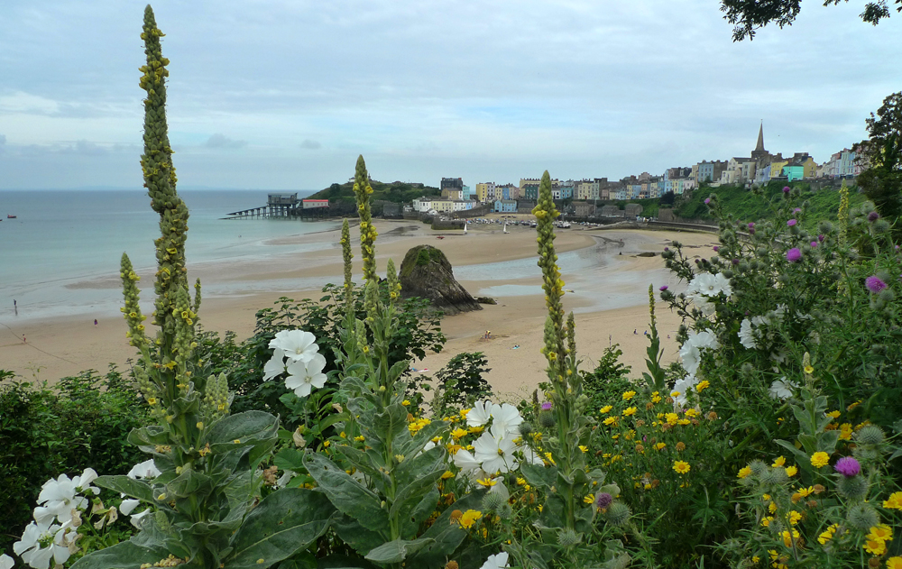 Sunday July 7th (2019) We are off to Tenby for the week width=