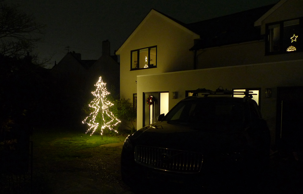 Thursday December 30th (2021) Christmas Tree width=