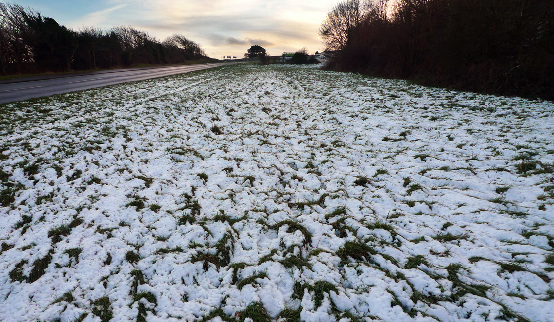 Monday December 11th (2017) Welcome to the Sunshine Coast. width=