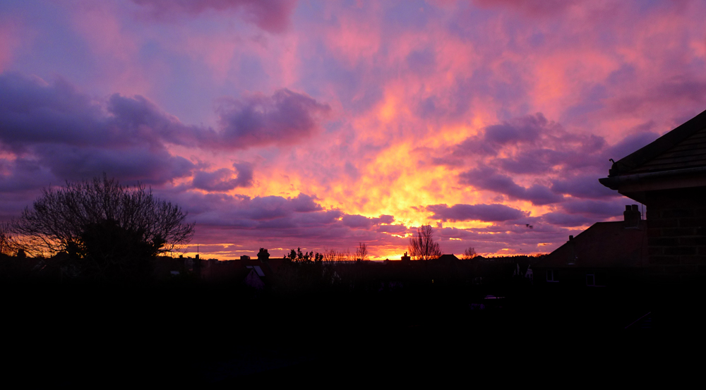 Sunday January 24th (2021) Sunrise width=