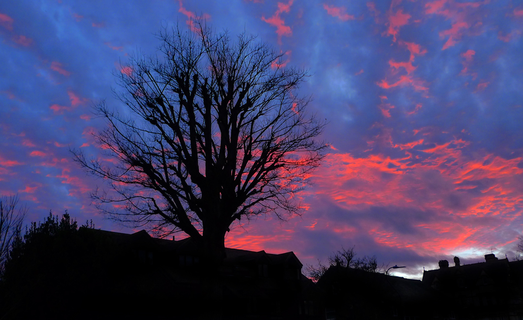 Sunday January 13th (2019) Red Sky width=
