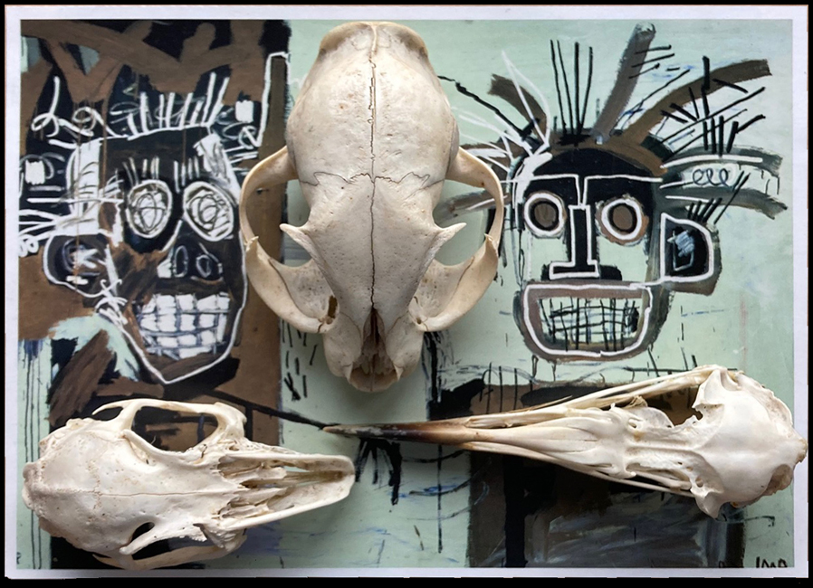 Monday March 16th (2026) Three Skulls and Jean Michel Basquiat width=
