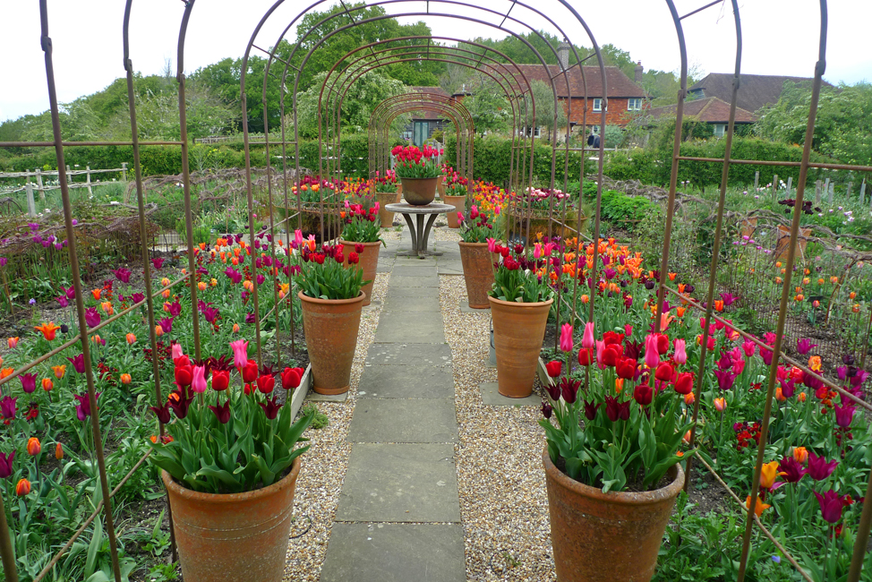 Tuesday April 26th (2022) Tulips tulips and more tulips width=