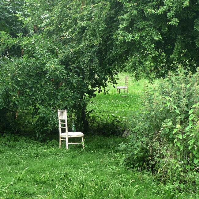 Wednesday June 23rd (2021) Two Chairs width=