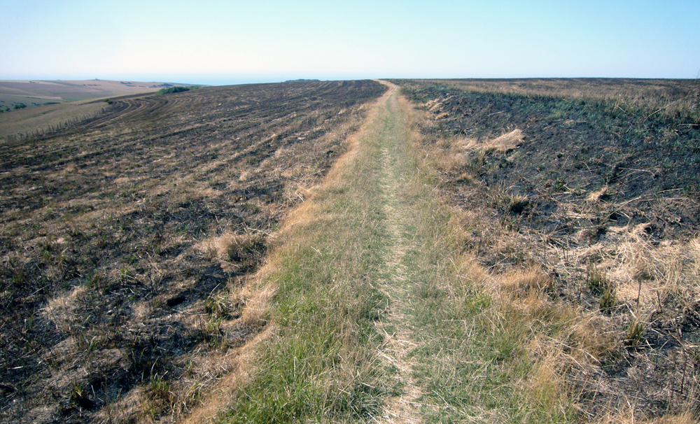 Monday August 6th (2018) After the fire. width=