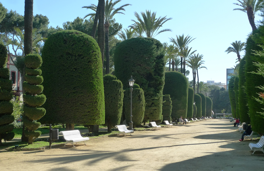 Tuesday March 7th (2017) Parque Genovés, Cadiz. width=