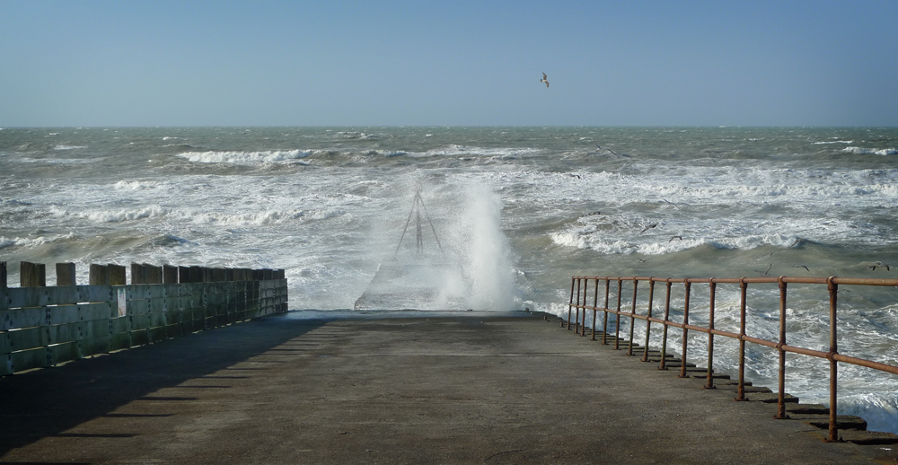 Tuesday February 28th (2017) A smaller splash and single gull. width=