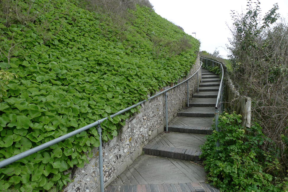 Monday March 9th (2020) Steps up. width=